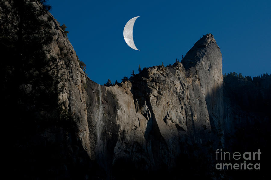 Yosemite National Park Photograph - Yosemite National Park #4 by Mark Newman