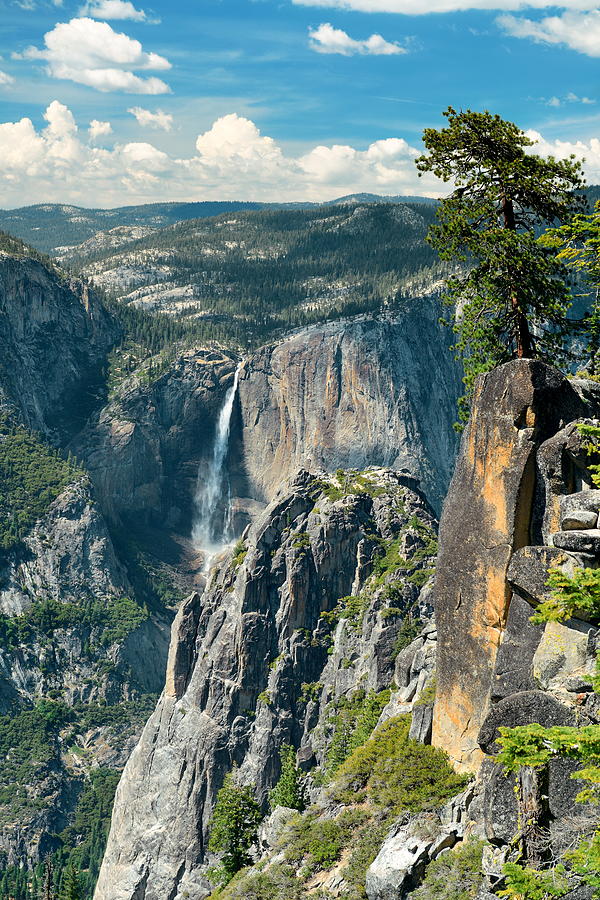 Yosemite national park #4 Photograph by Songquan Deng