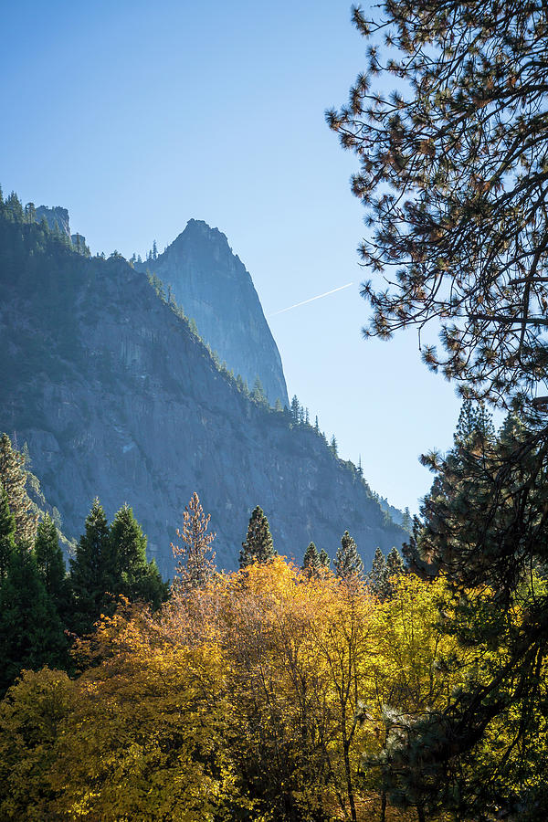 Yosemite National Park #4 Photograph by Terry Schmidbauer Yosemite National Park #4 Photograph by Terry Schmidbauer