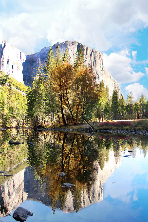 Yosemite National Park Photograph - Yosemite National Park #4 by Yosi Cupano