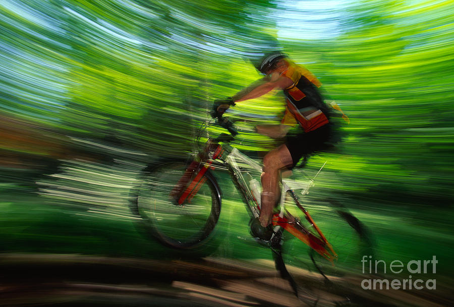 Young man mountain biking in a forest Stowe VT USA #4 Photograph by Don Landwehrle