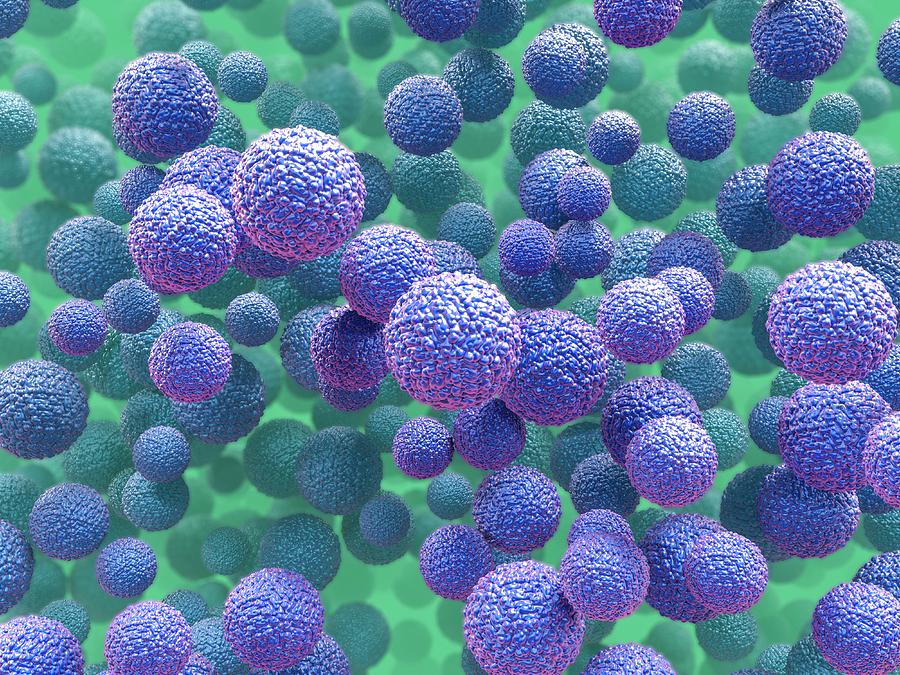 Arbovirus Photograph - Zika Virus Particles #4 by Maurizio De Angelis