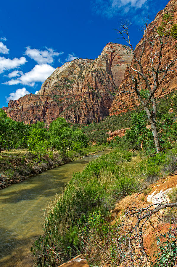 Zion National Park #4 Photograph by Willie Harper