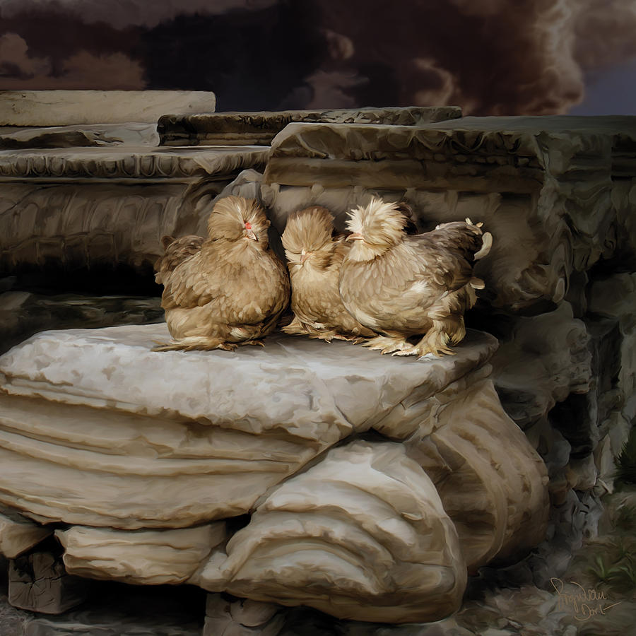 Chicken Digital Art - 40. 3 Burmah bantams by Sigrid Van Dort Chicken Digital Art - 40. 3 Burmah bantams by Sigrid Van Dort