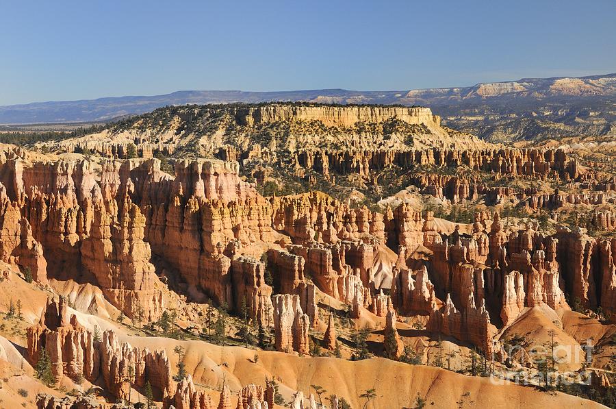 Bryce Canyon #40 Photograph by Marc Bittan