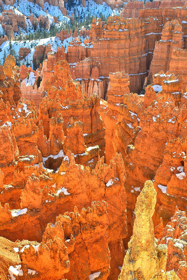 Bryce Canyon #44 Photograph by Ray Mathis