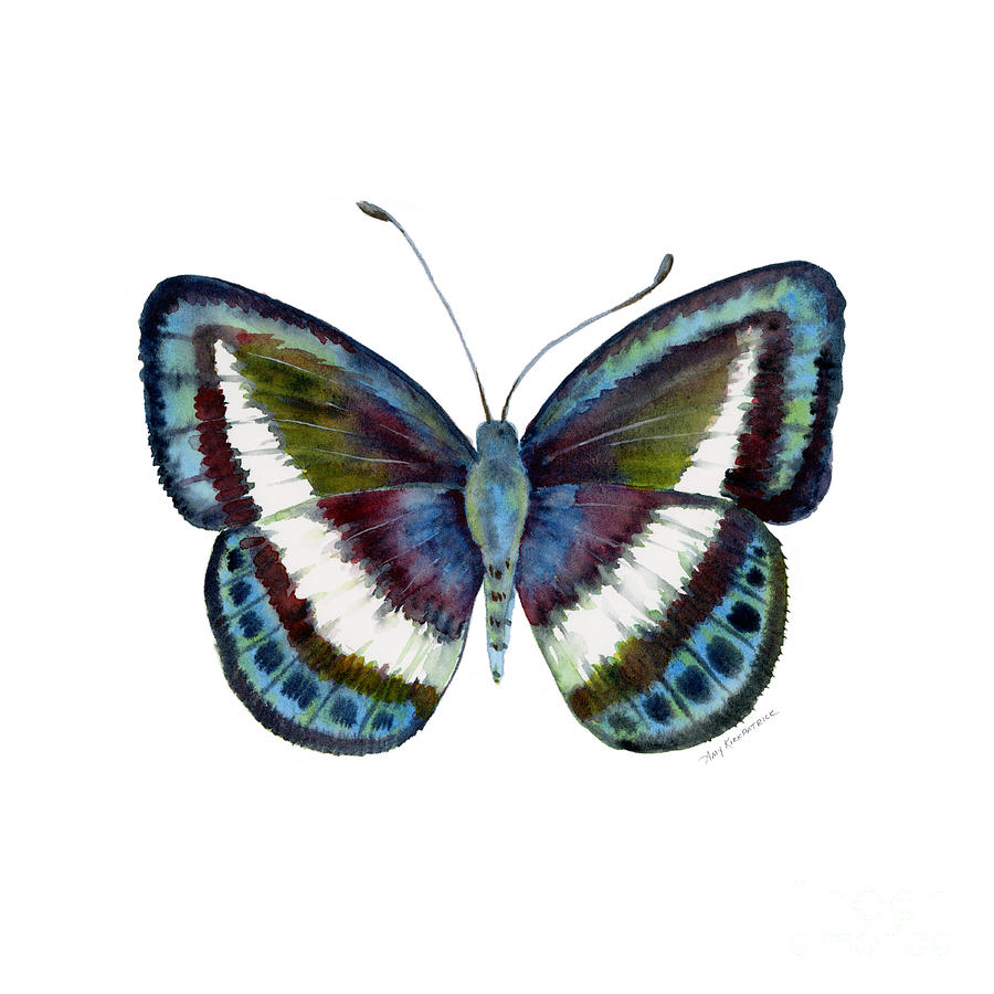 Butterfly Painting - 40 Danis Danis Butterfly by Amy Kirkpatrick