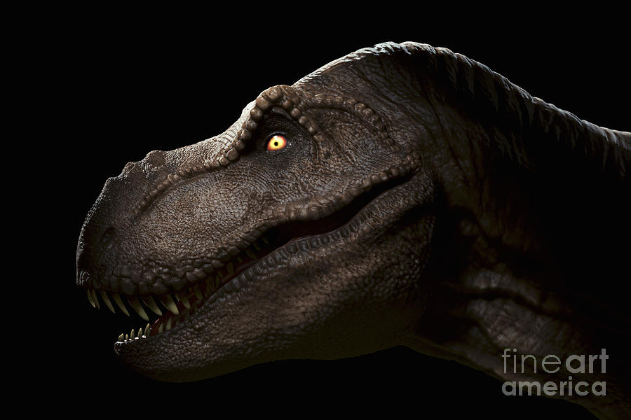 Dinosaur Tyrannosaurus #40 Photograph by Science Picture Co