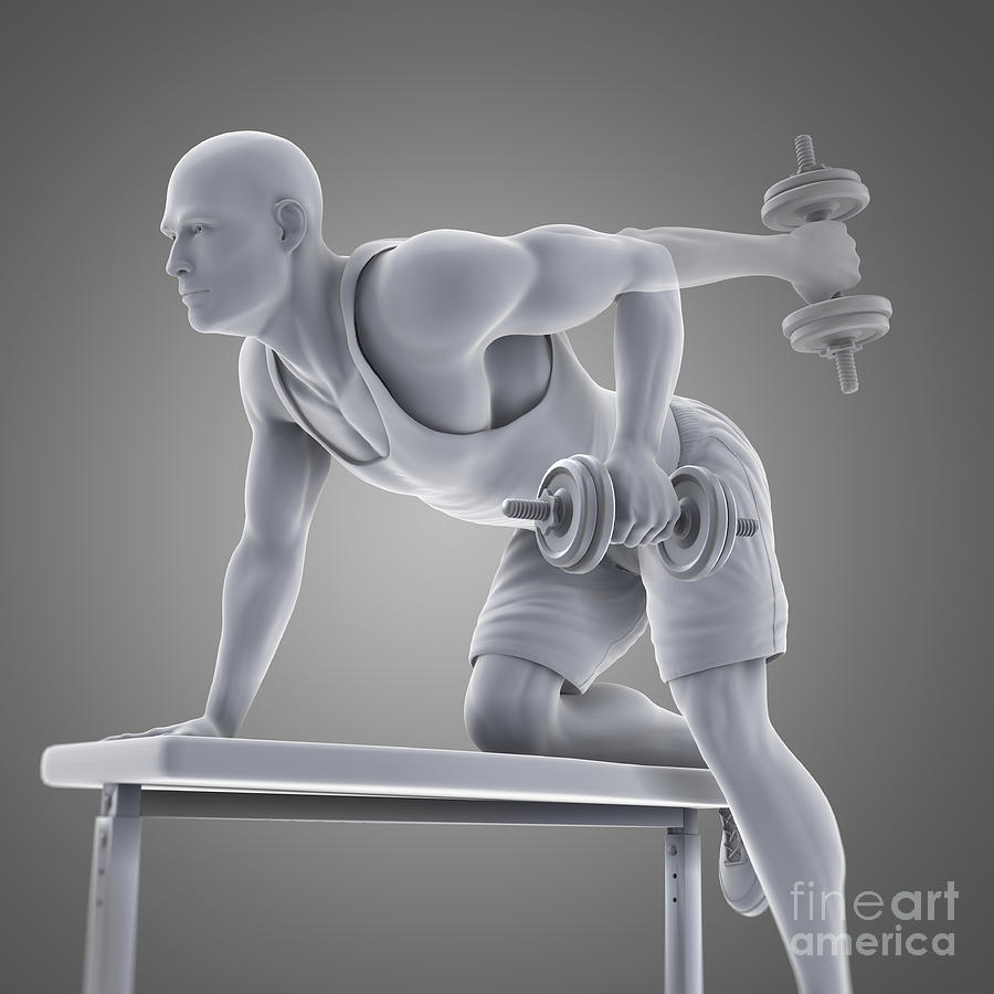 Exercise Workout Photograph by Science Picture Co - Pixels