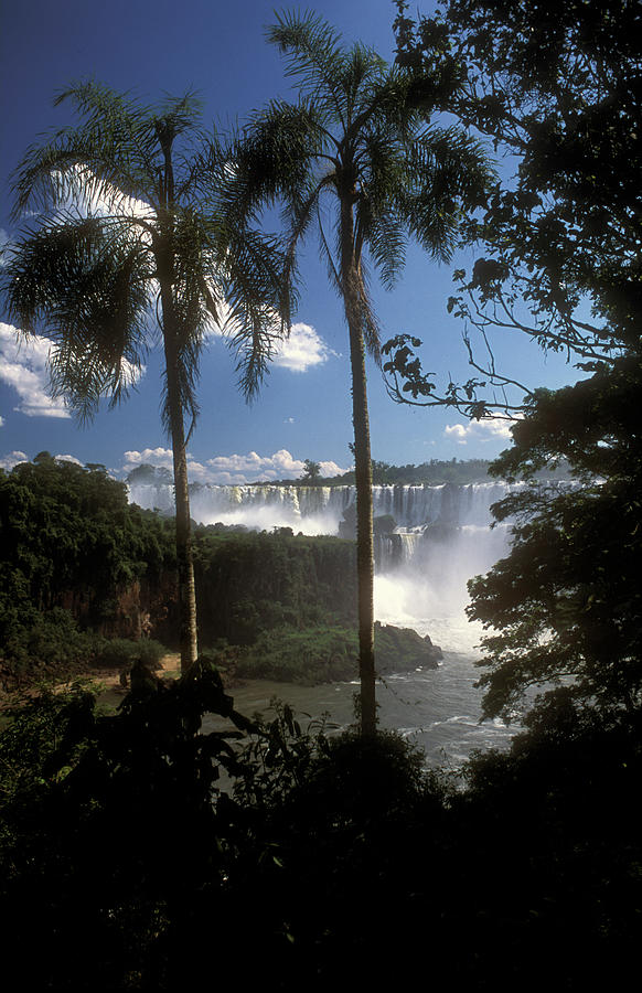 Jungle Photograph - Iguazu Falls National Park, Argentina #40 by Javier Etcheverry