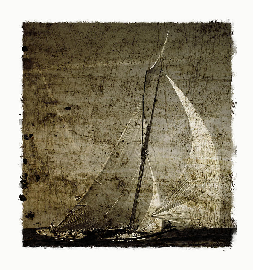 40 sailboat - With open wings in a grunge background  Photograph by Pedro Cardona Llambias
