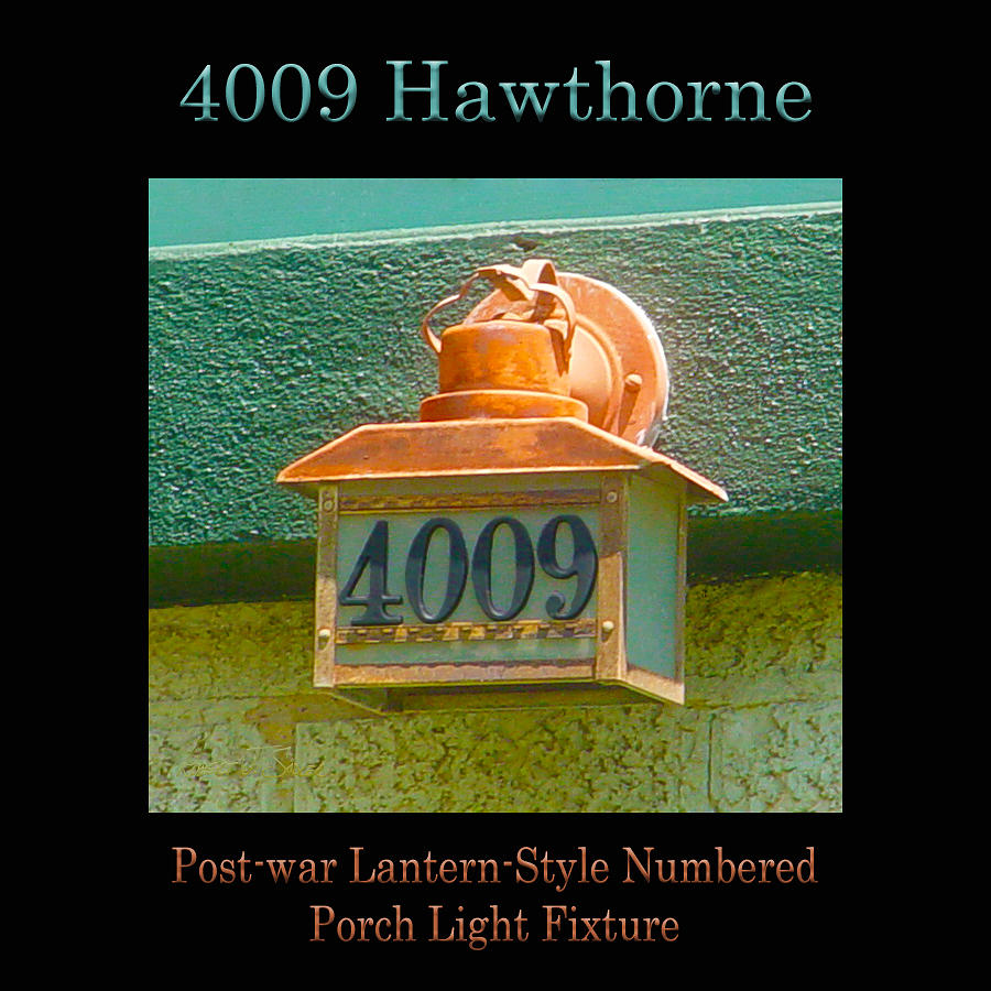 4009 Hawthorne Poster Photograph by Robert J Sadler