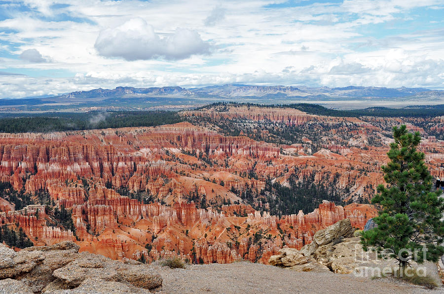 409A Bryce Canyon Photograph by NightVisions