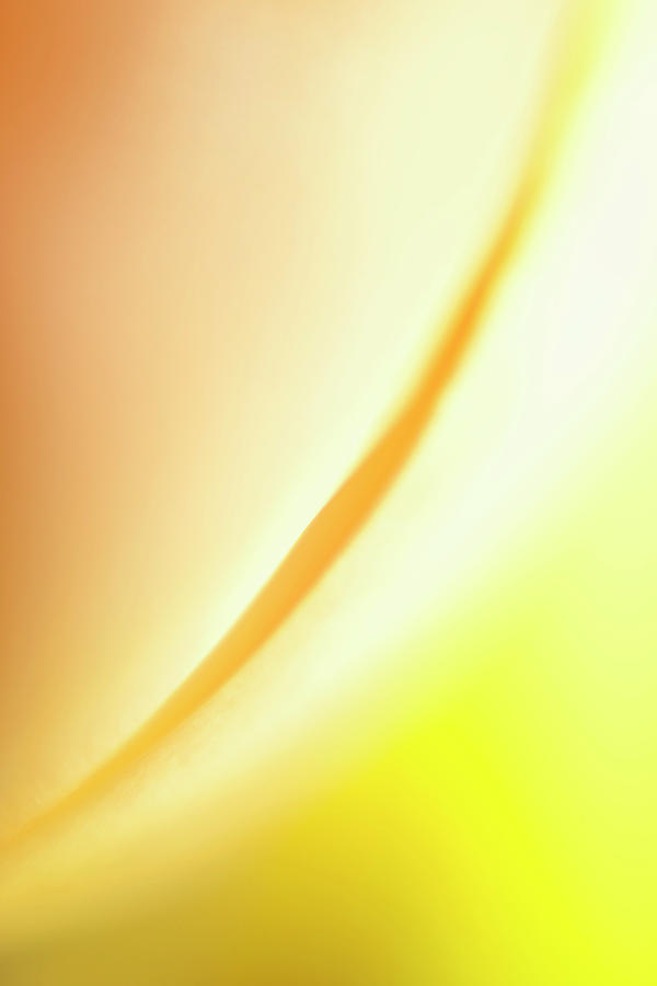 Abstract Colored Forms And Light #41 Photograph by Ralf Hiemisch
