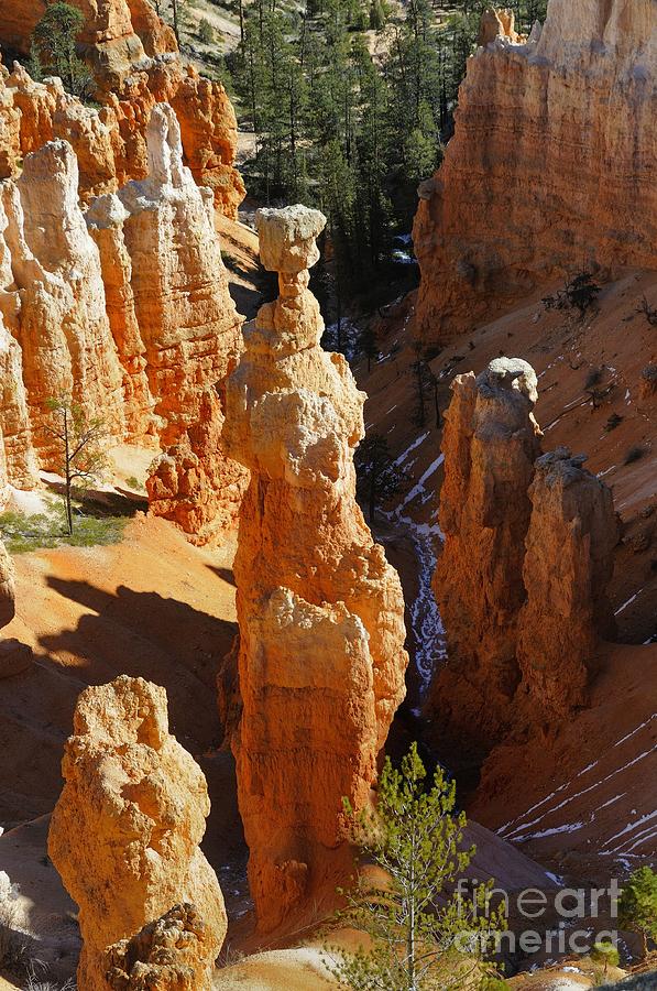 Bryce Canyon #41 Photograph by Marc Bittan