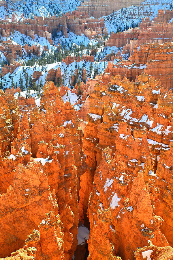 Bryce Canyon #38 Photograph by Ray Mathis
