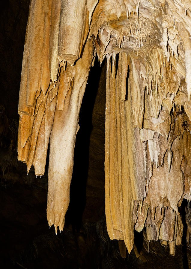 Natural Bridge Caverns, San Antonio, Tx #41 Photograph by Millard H. Sharp