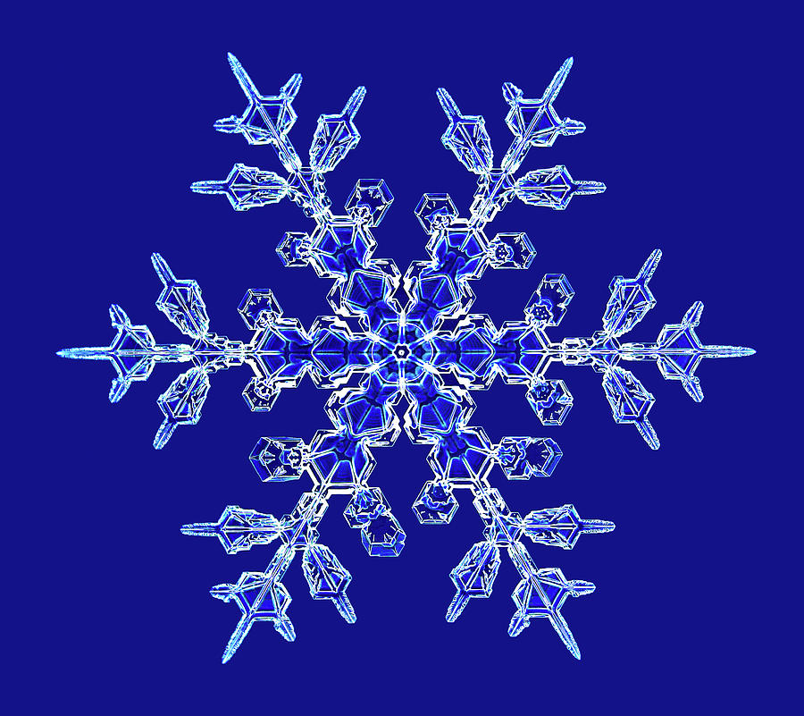 Snowflake #41 Photograph by Kenneth Libbrecht