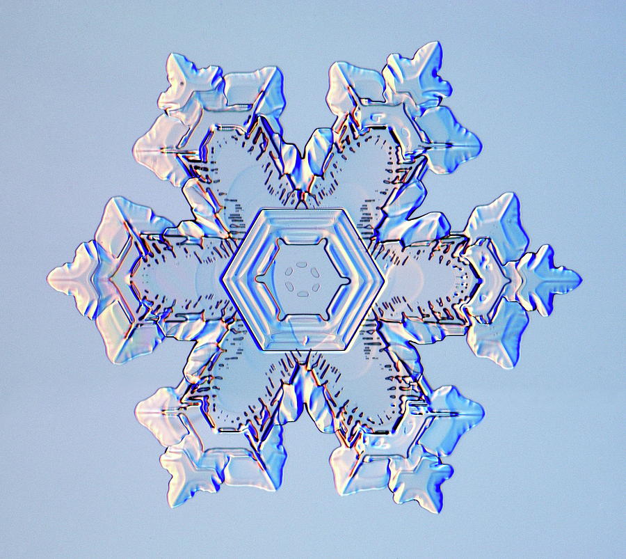 Snowflake #41 Photograph by Kenneth Libbrecht/science Photo Library