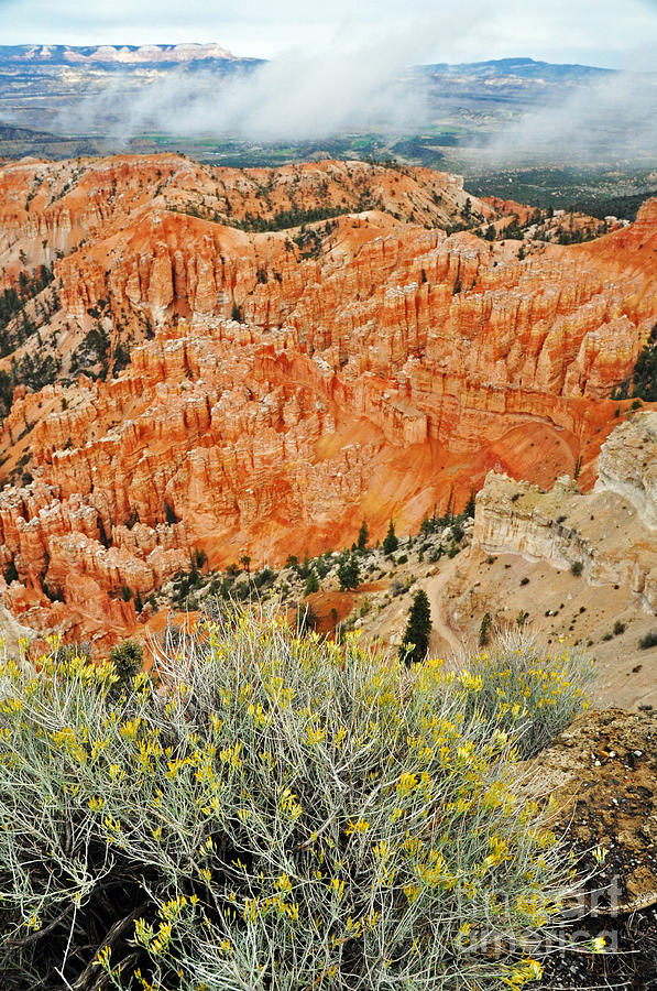 411P Bryce Canyon Photograph by NightVisions