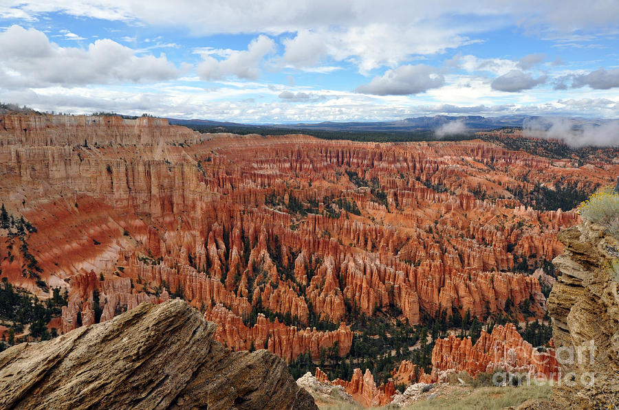 416P Bryce Canyon Photograph by NightVisions