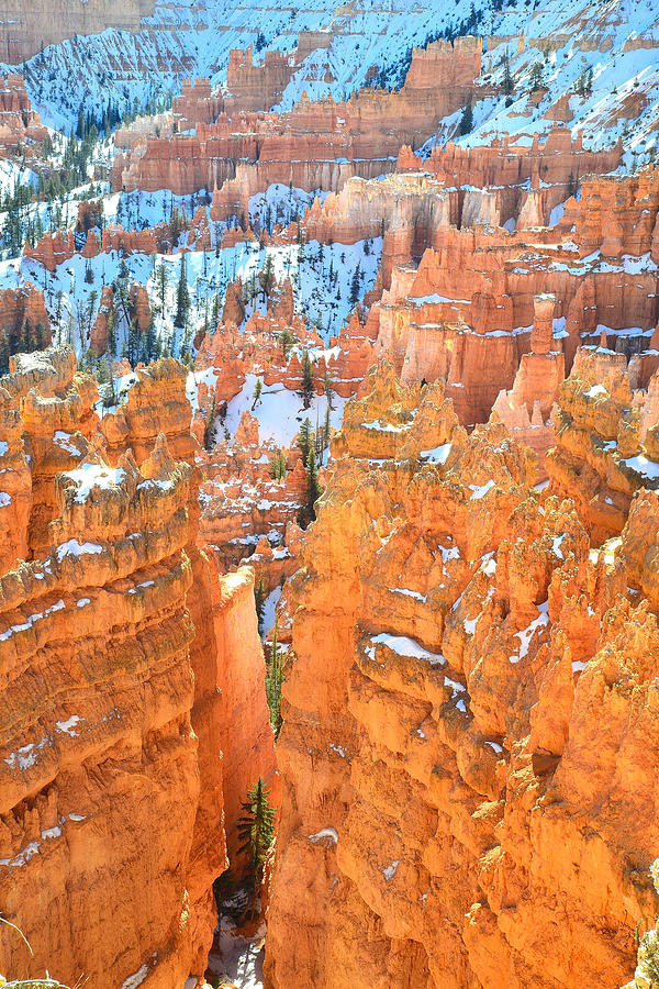 Bryce Canyon #43 Photograph by Ray Mathis