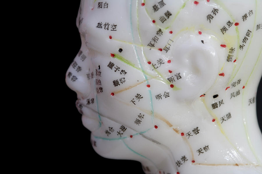 Human Model Showing Acupuncture Points Photograph by Science Stock ... Biology Diagrams