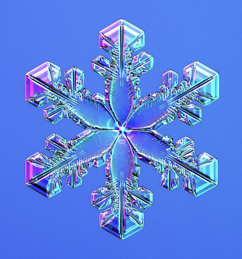 Snowflake #42 Photograph by Kenneth Libbrecht/science Photo Library