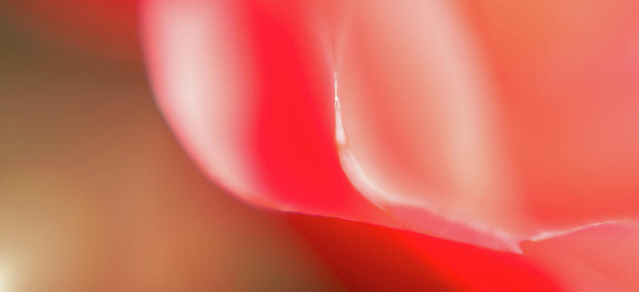 Abstract Colored Forms And Light #43 Photograph by Ralf Hiemisch