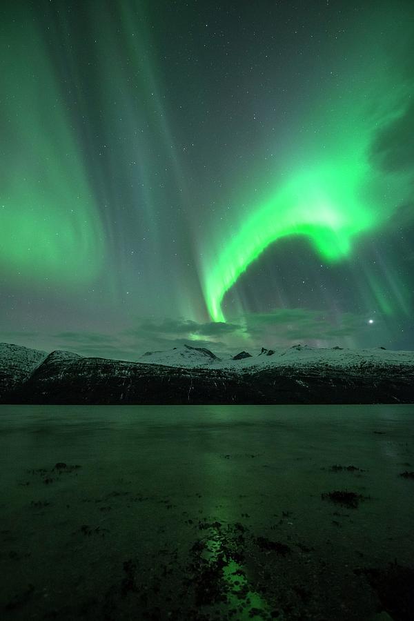 Aurora Borealis #43 Photograph by Tommy Eliassen
