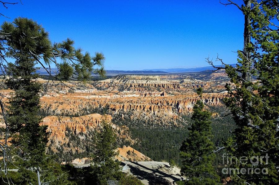 Bryce Canyon #43 Photograph by Marc Bittan