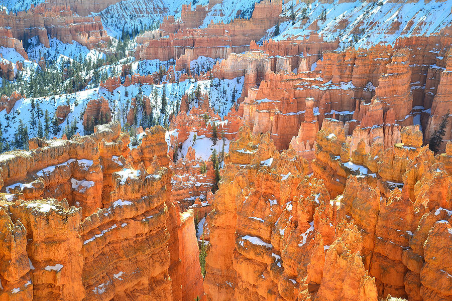 Bryce Canyon #41 Photograph by Ray Mathis