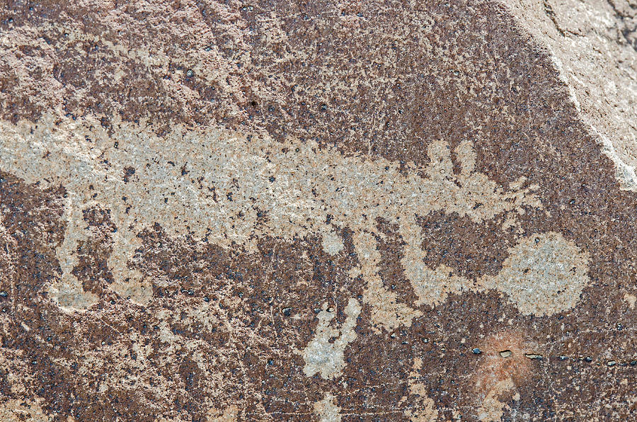 Native American Petroglyph #43 Photograph by Millard H. Sharp
