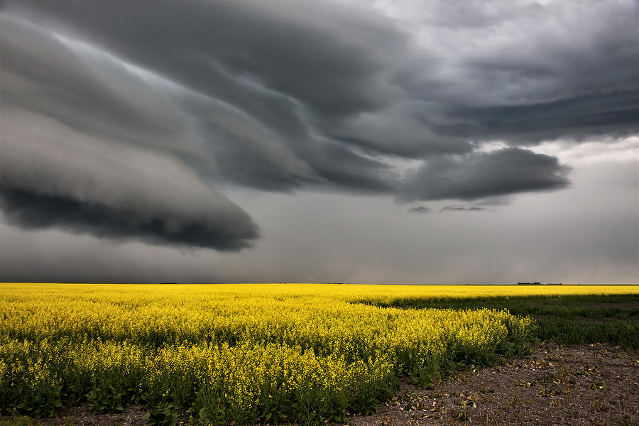 Summer Photograph - Prairie Storm Clouds #43 by Mark Duffy