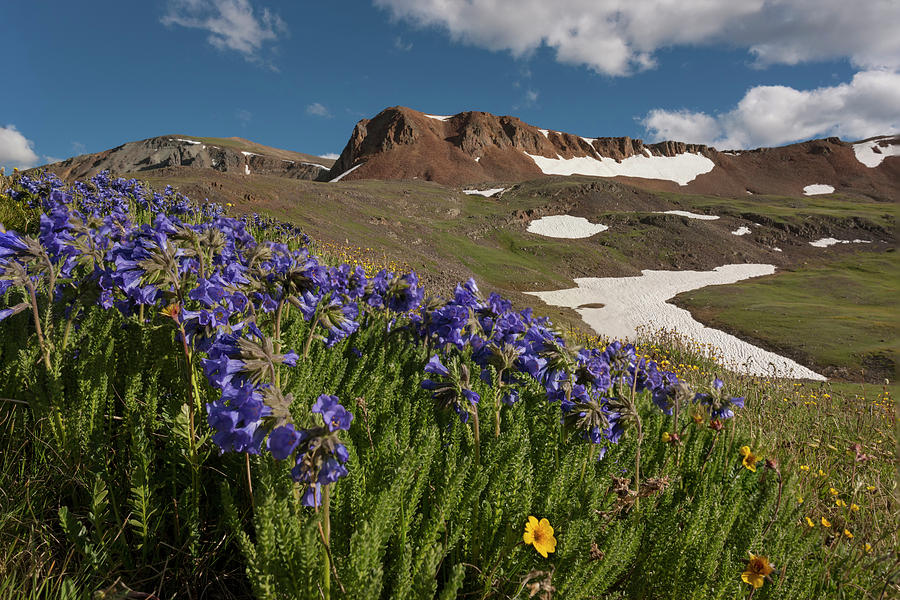 USA, Colorado, San Juan Mountains Photograph by Jaynes Gallery - Fine ...