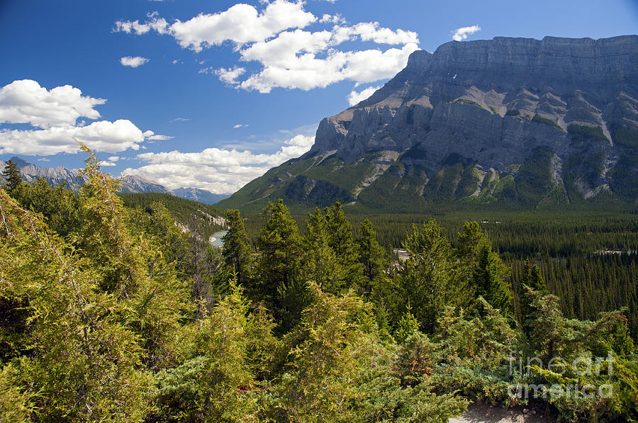 431P Mt. Rundle Canada Photograph by NightVisions