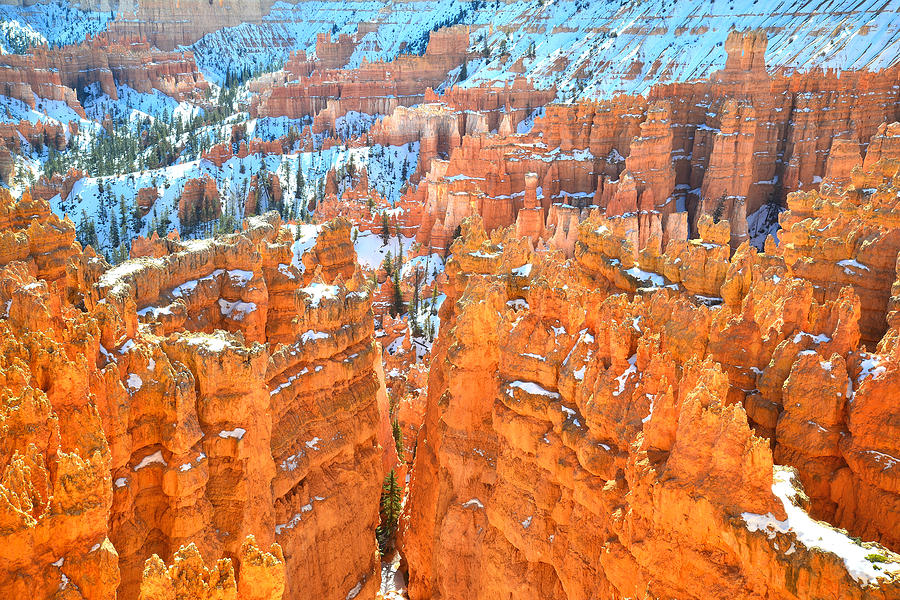 Bryce Canyon #47 Photograph by Ray Mathis