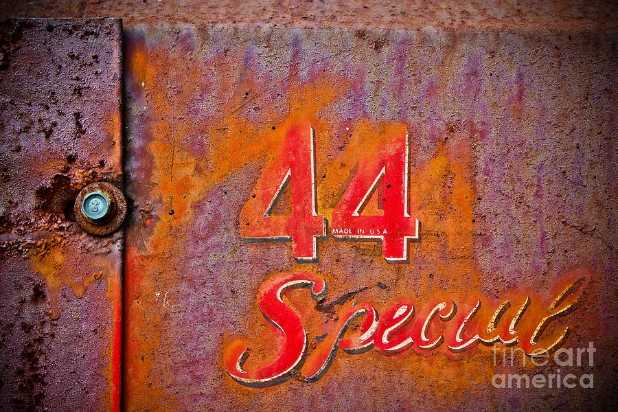 44 Special Photograph by Colleen Kammerer