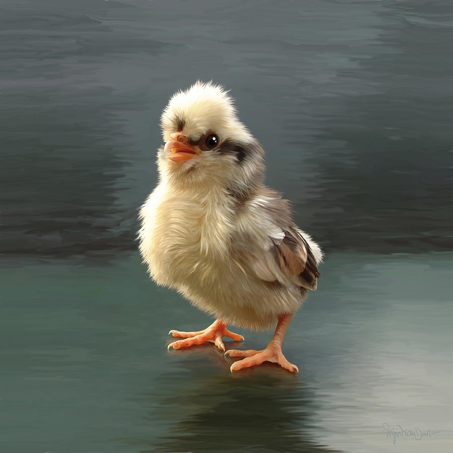 Chicken Digital Art - 44. Tollbunt chick by Sigrid Van Dort Chicken Digital Art - 44. Tollbunt chick by Sigrid Van Dort