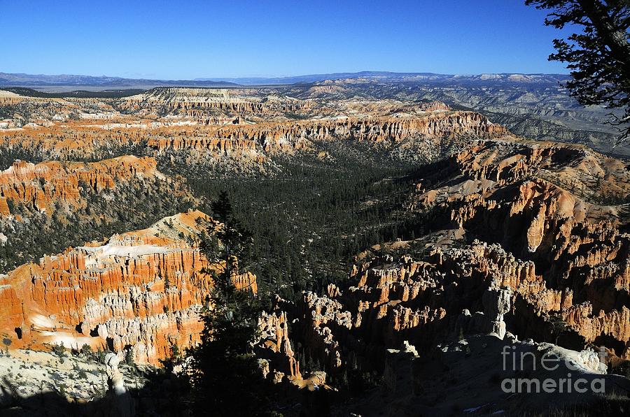 Bryce Canyon #45 Photograph by Marc Bittan