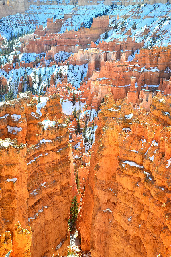 Bryce Canyon #14 Photograph by Ray Mathis