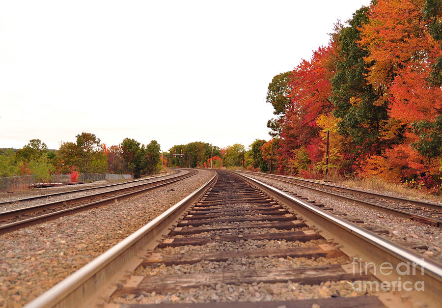 Fall Foliage in New England by Staci Bigelow Fall Foliage in New England by Staci Bigelow