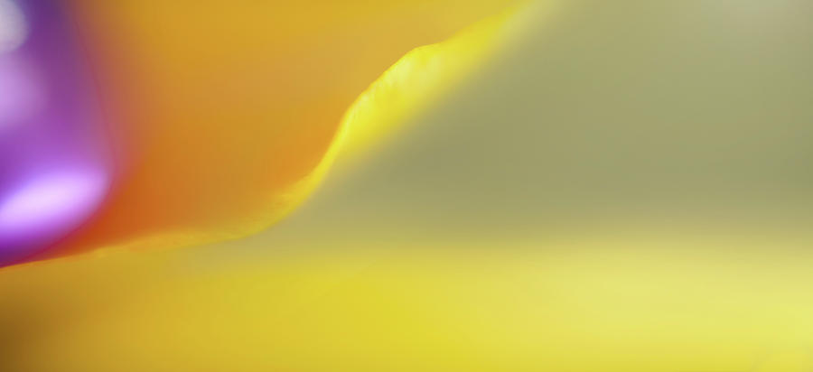 Abstract Colored Forms And Light #46 Photograph by Ralf Hiemisch