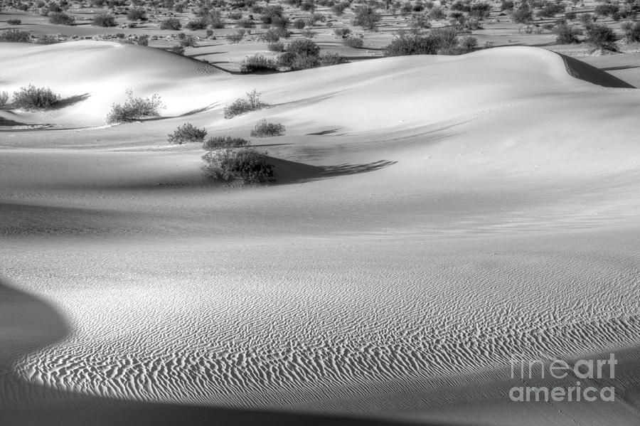 Death Valley #46 Photograph by Marc Bittan