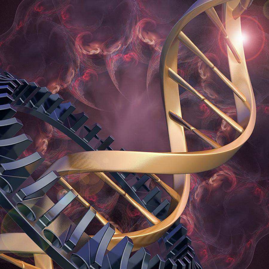 Dna Molecule Photograph By Laguna Design/science Photo Library - Fine ...