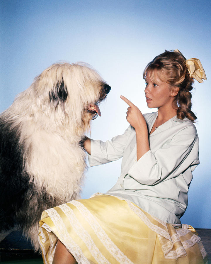 Hayley Mills #46 Photograph by Silver Screen