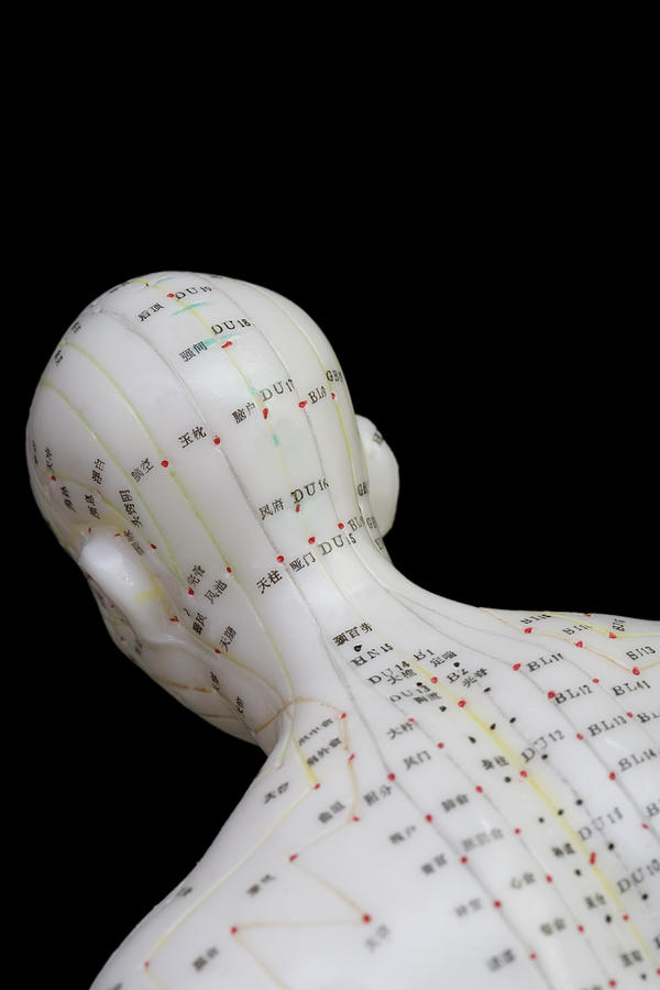 Human Model Showing Acupuncture Points Photograph by Science Stock ...