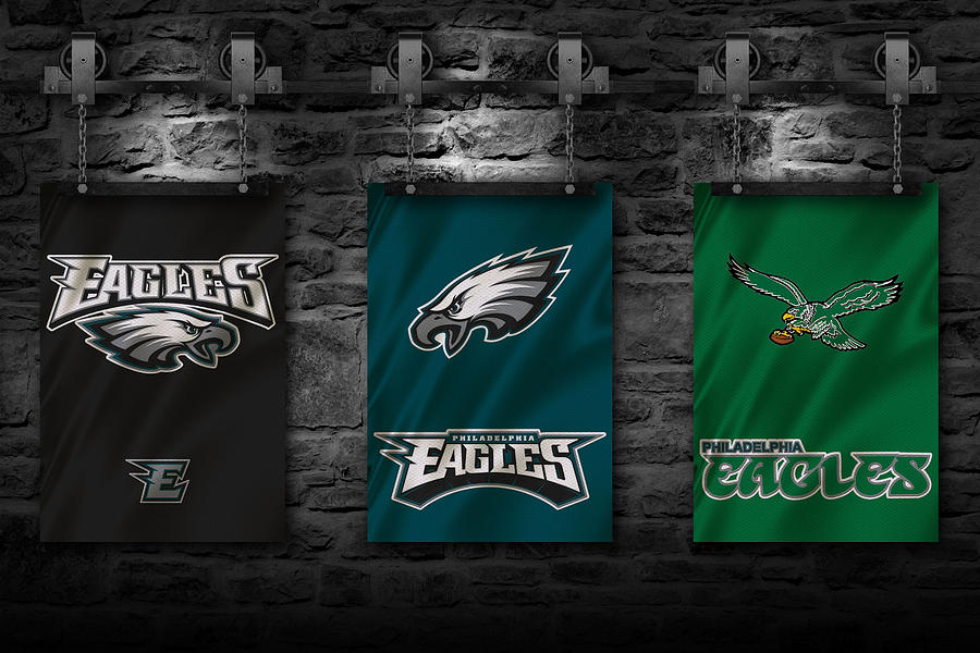 Philadelphia Eagles Photograph by Joe Hamilton - Pixels