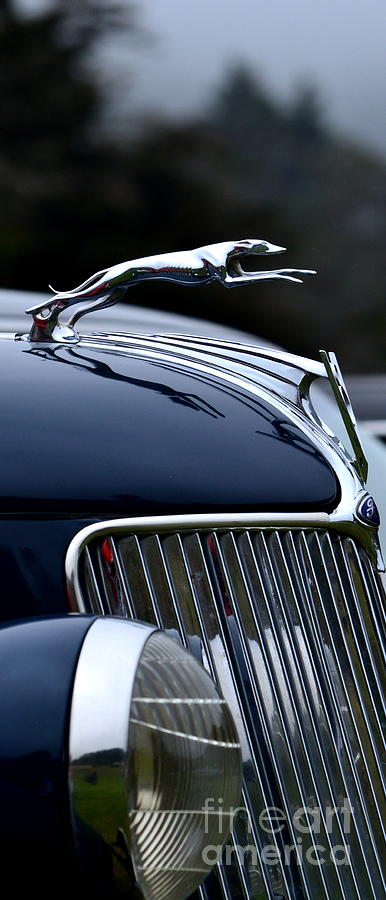 Classic Ford Detail #3 Photograph by Dean Ferreira