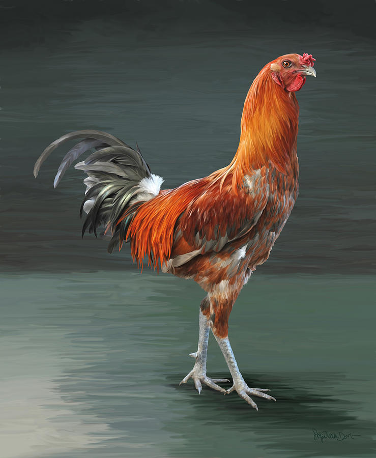 Chicken Digital Art - 46.Liege game by Sigrid Van Dort Chicken Digital Art - 46.Liege game by Sigrid Van Dort